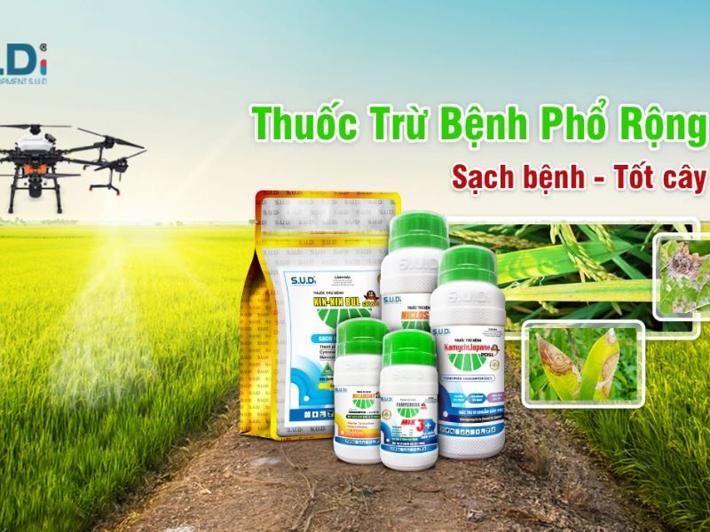 Nên Chọn Bảo Vệ Thực Vật NTT- Chuyên cung cấp phân bón và thuốc bảo vệ thực vật