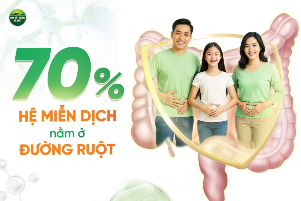 Vai Trò Của Hệ Vi Sinh Vật Đường Ruột